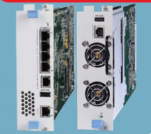 D-NFV Module For Megaplex-4